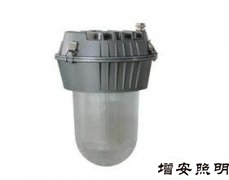 TG720防眩平臺(tái)泛光