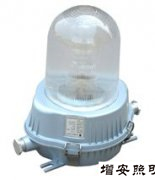 GF9150防眩泛光燈